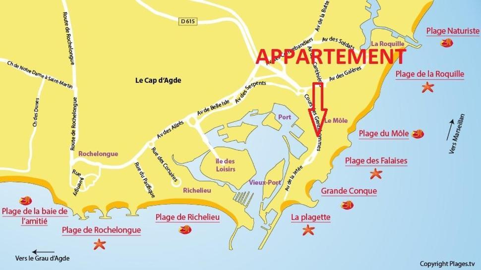 Apartament Cap D'Agde 300M Plage Du Mole,Vue Port,Parking,Lave Linge,Piscine Zewnętrze zdjęcie