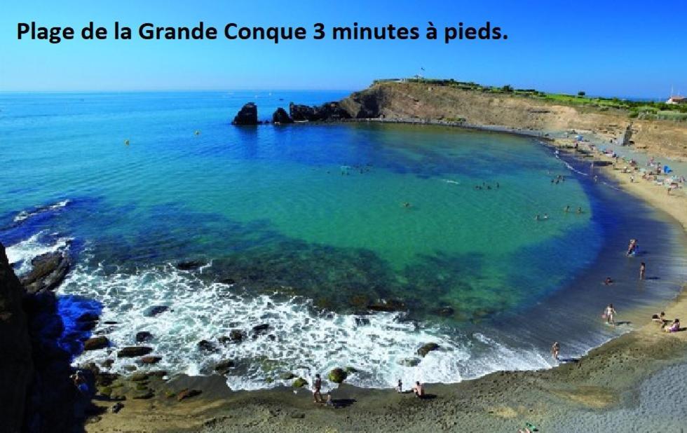 Apartament Cap D'Agde 300M Plage Du Mole,Vue Port,Parking,Lave Linge,Piscine Zewnętrze zdjęcie