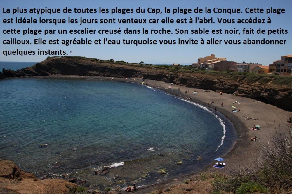 Apartament Cap D'Agde 300M Plage Du Mole,Vue Port,Parking,Lave Linge,Piscine Zewnętrze zdjęcie